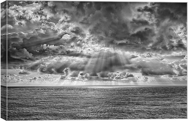  Sunbeams in mono. Canvas Print by Mark Godden