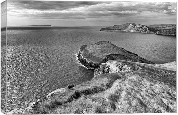  Worbarrow Tout in mono.  Canvas Print by Mark Godden