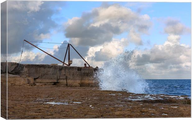  Fisherman's Crane. Canvas Print by Mark Godden