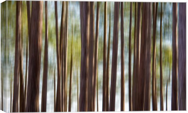 Blurred Trees Canvas Print by Mark Godden