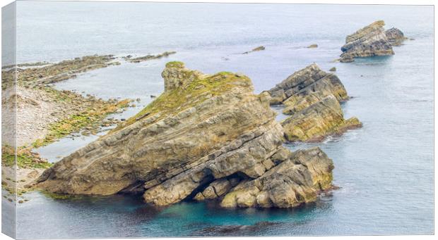 Mupe Rocks on Dorset's Jurassic Coast. Canvas Print by Mark Godden