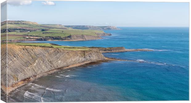 View From Gad Cliff.  Canvas Print by Mark Godden