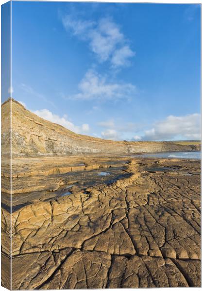 Kimmeridge Ledges. Canvas Print by Mark Godden