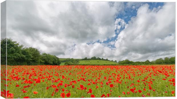 Poppies Canvas Print by Mark Godden