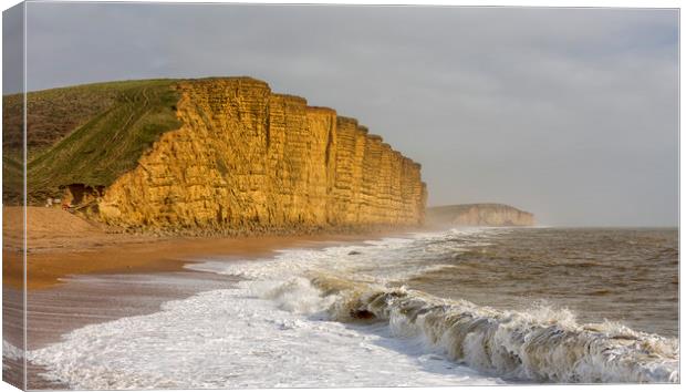 East Cliff at West Bay. Canvas Print by Mark Godden