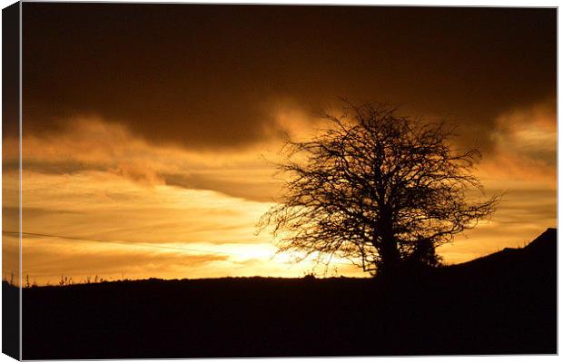  Sunset over Littleborough Canvas Print by David Brotherton