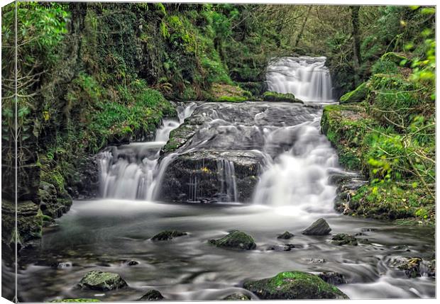 Waterfall, Watersmeet, Exmoor  Canvas Print by Rich Wiltshire