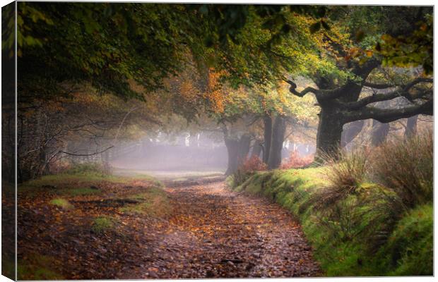 Autumn Countryside Canvas Print by Rich Wiltshire