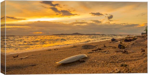 Calmness and the cuttle Canvas Print by scott innes