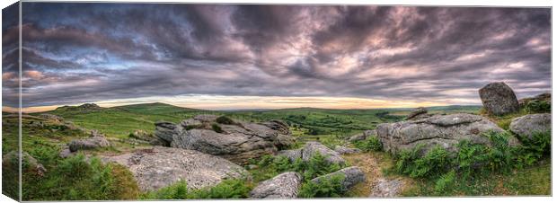  Into the Moor Canvas Print by Ray Abrahams