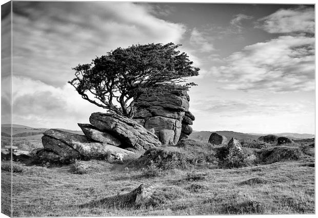  Moods of the Moor Canvas Print by Ray Abrahams
