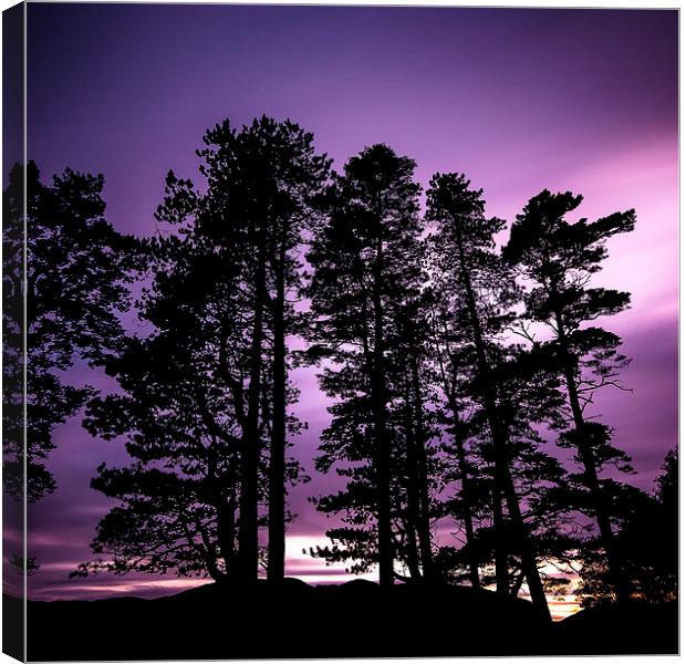  Towering Silhouettes Canvas Print by Ray Abrahams