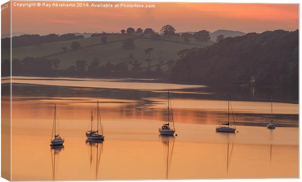  On the River Canvas Print by Ray Abrahams