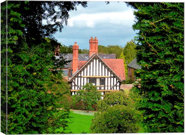  Peeping through the hedge! Canvas Print by Judith Lightfoot