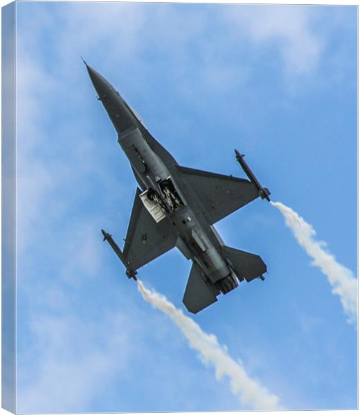 F-16 Fighting Falcon Canvas Print by Judith Lightfoot