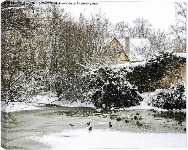 A Frozen Duck Pond  Canvas Print by Judith Lightfoot