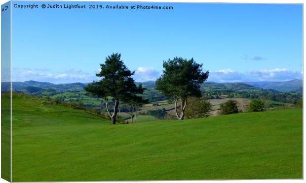 TREE-MENDOUS VIEW FOR A GAME OF GOLF Canvas Print by Judith Lightfoot