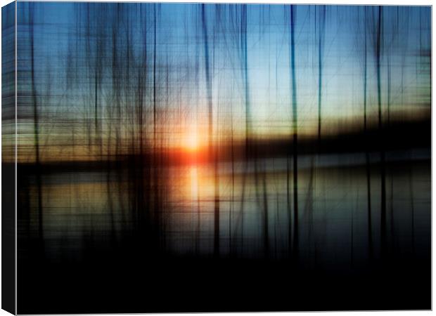  Sunset Blur Canvas Print by Florin Birjoveanu