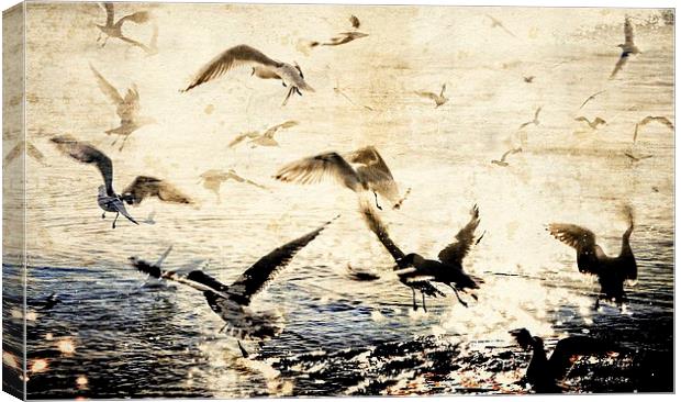  Birds On Stage Canvas Print by Florin Birjoveanu