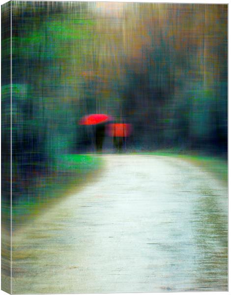 Walk In The Rain  Canvas Print by Florin Birjoveanu