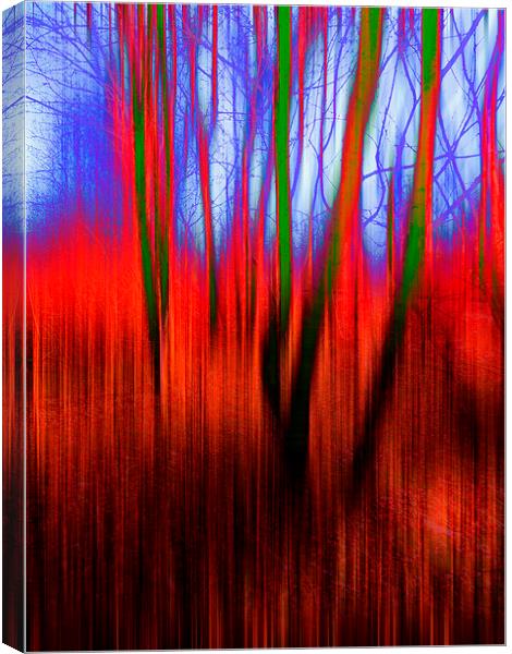  Tinted Woods Canvas Print by Florin Birjoveanu