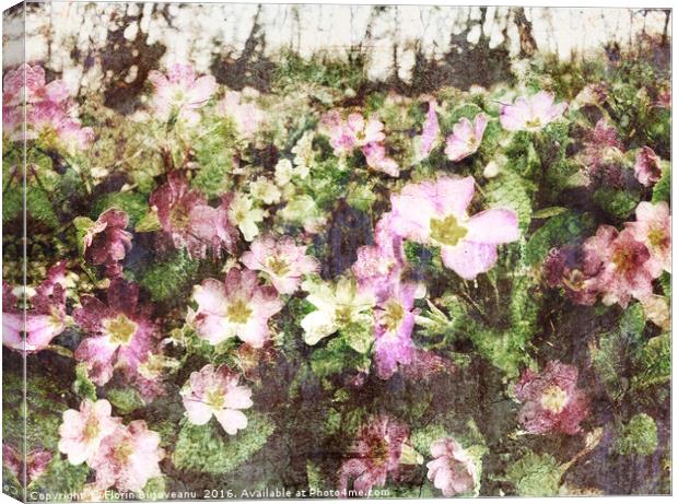 Spring Is Here With Texture Canvas Print by Florin Birjoveanu