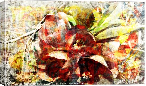 Swayed Blossom Textured 2009 Canvas Print by Florin Birjoveanu