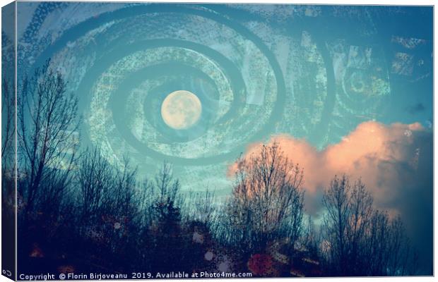 Moon Swirled Canvas Print by Florin Birjoveanu