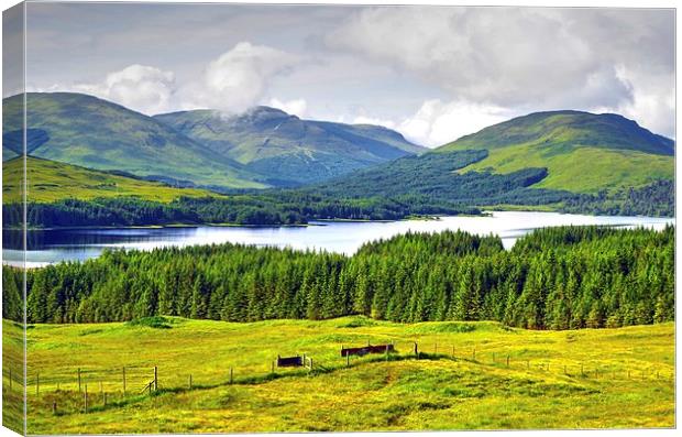  Loch Tulla on the A82 road North .  Canvas Print by Kenny McCormick