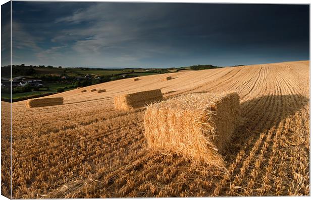  Evening Light Canvas Print by Richard Taylor