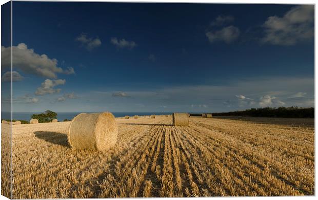  Harvest View Canvas Print by Richard Taylor