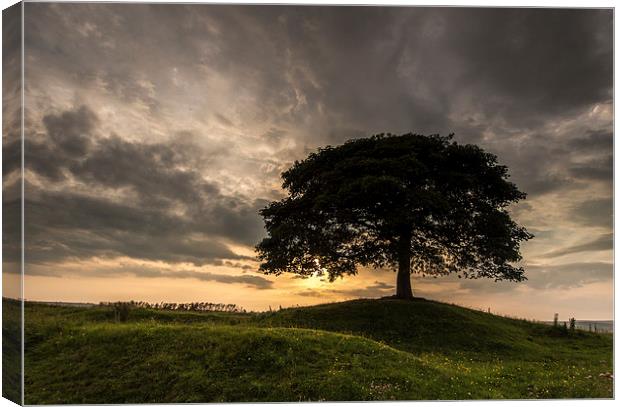  Single Tree Sunset Canvas Print by John Cropper