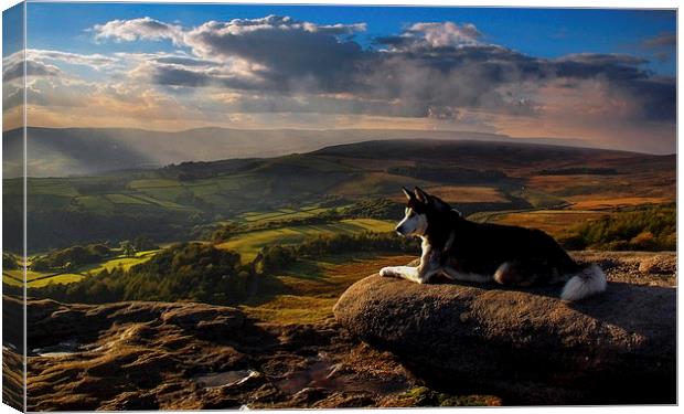 Everything the light touches Canvas Print by John Cropper