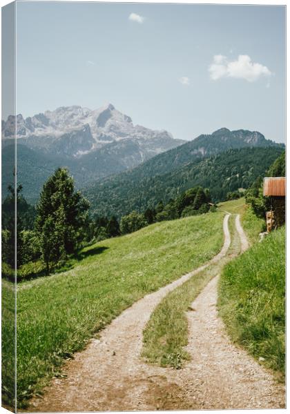 Pathway In Alps Mountains Canvas Print by Patrycja Polechonska