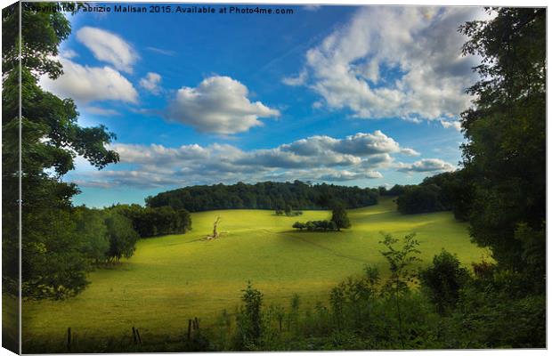 A beautiful landscape of the British countryside Canvas Print by Fabrizio Malisan