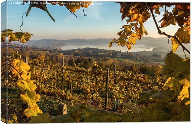  Autum sunlight over the vineyards  Canvas Print by Fabrizio Malisan