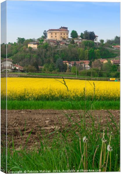 Colorful Fields By Castello di Roppolo in Piedmont Canvas Print by Fabrizio Malisan