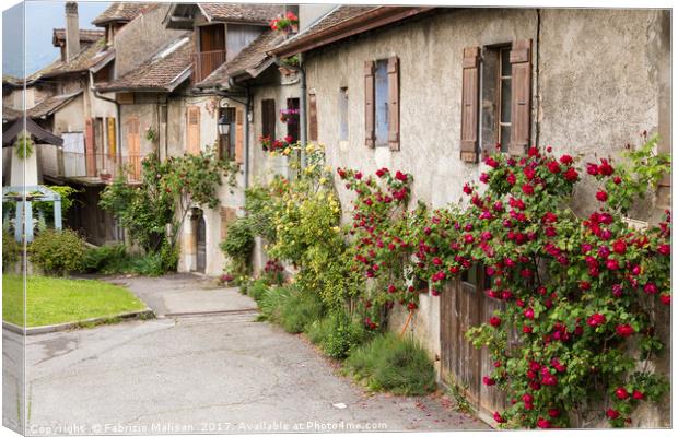 A Characteristic Corner Canvas Print by Fabrizio Malisan