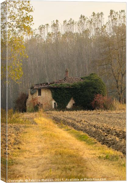 Autumn colours landscape Italy Canvas Print by Fabrizio Malisan