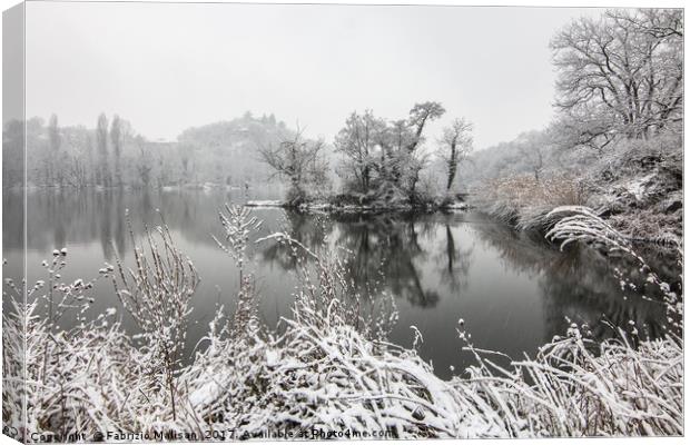 It's all frosty around the lake Canvas Print by Fabrizio Malisan