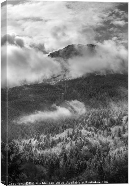 Atmospheric Mountain Woods Canvas Print by Fabrizio Malisan