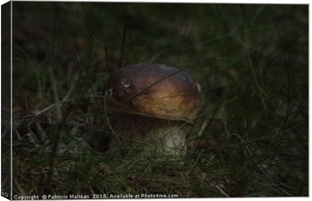 Porcino Mushroom Funghi Boletus Edulis Canvas Print by Fabrizio Malisan