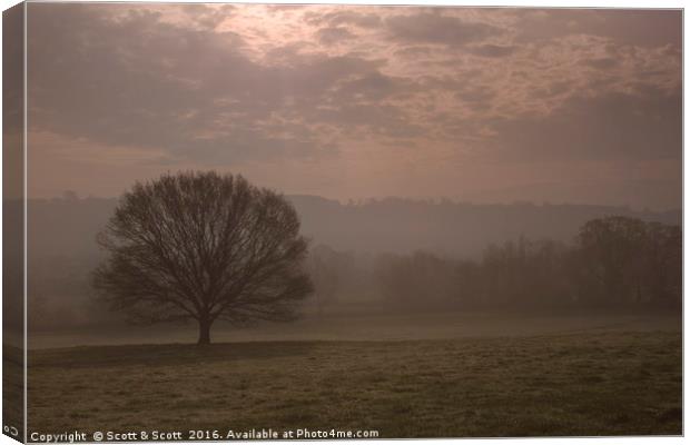 Early Delight Canvas Print by Scott & Scott