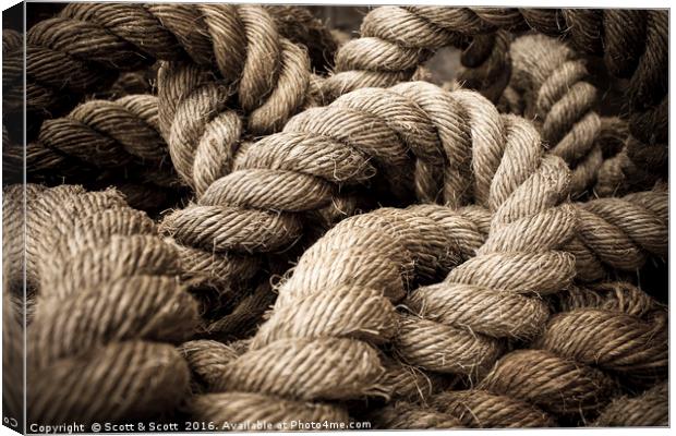 Money for old rope Canvas Print by Scott & Scott