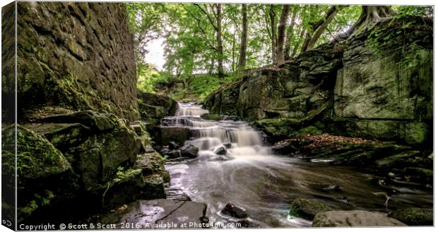 The Hidden Falls Canvas Print by Scott & Scott