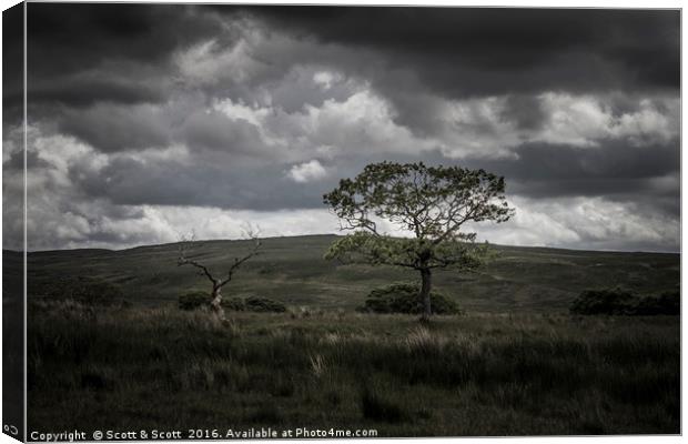 Shaman in the hills Canvas Print by Scott & Scott