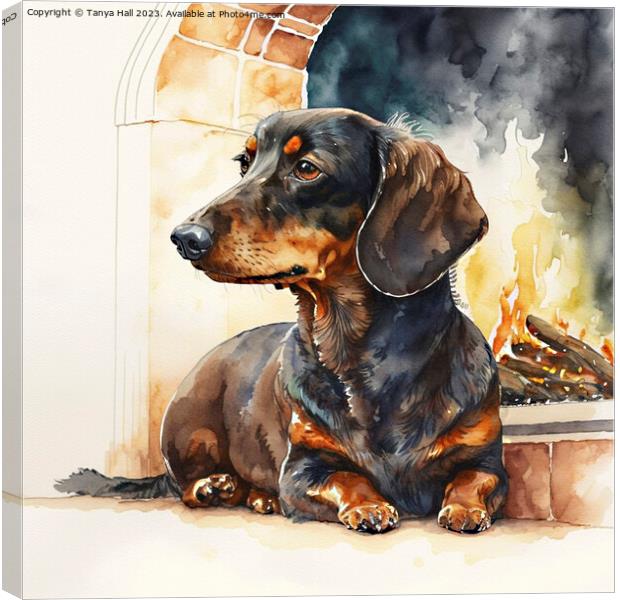Dachshund Warming by the Fire Canvas Print by Tanya Hall