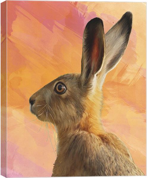 Hare  Canvas Print by Tanya Hall