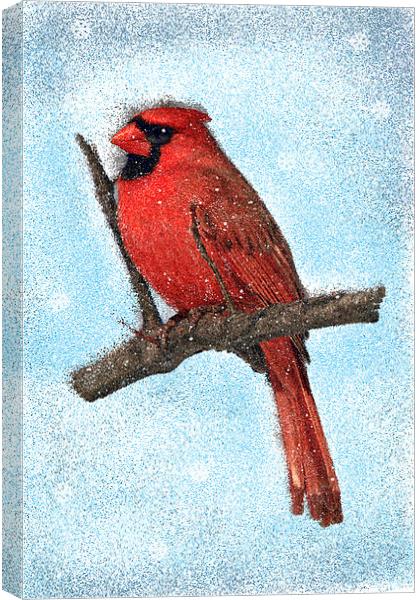 Painted Cardinal Bird, With snowflakes and snow Canvas Print by Tanya Hall