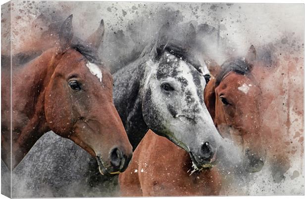 Horse, equine, Digital Watercolor Paint and Grunge Canvas Print by Tanya Hall